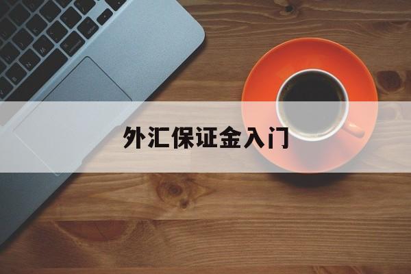 外汇保证金入门(外汇保证金怎么计算公式)